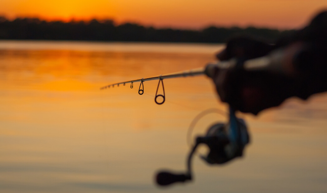 Must-Have Paddle Board Fishing Accessories for the Perfect Expedition